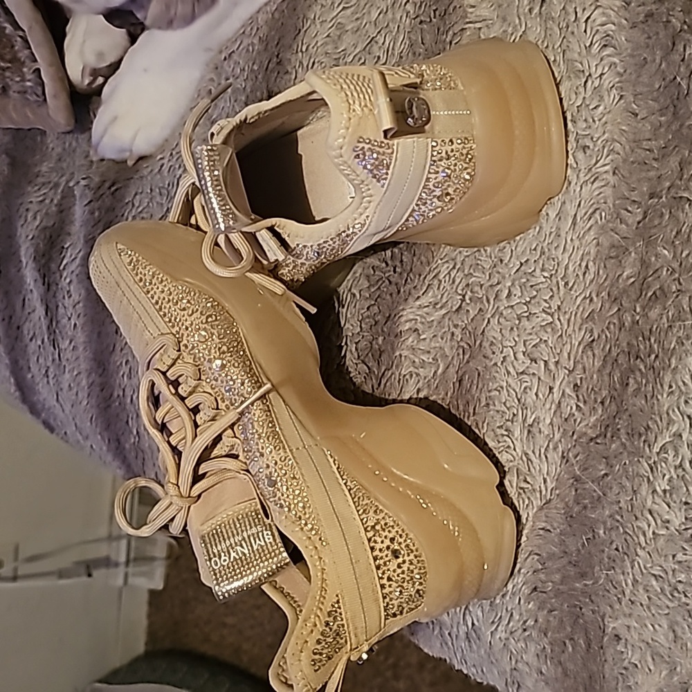 Steve Madden Shoes